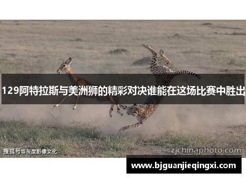 129阿特拉斯与美洲狮的精彩对决谁能在这场比赛中胜出